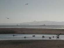 Fishing and shipping from Coquimbo across the bay