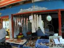 Tongoy: fish market across from the fishing docks